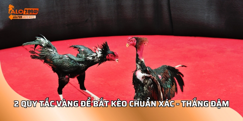 2 Quy tắc vàng để bắt kèo chuẩn xác - Thắng đậm