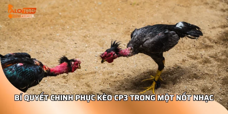 Bí quyết chinh phục kèo CP3 trong một nốt nhạc