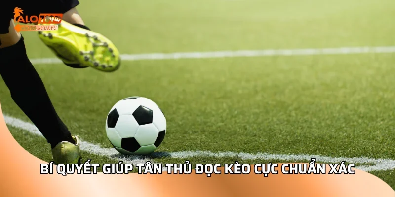 Bí quyết giúp tân thủ đọc kèo cực chuẩn xác
