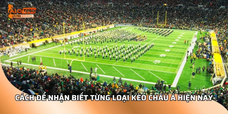 Cách để nhận biết từng loại kèo châu Á hiện nay