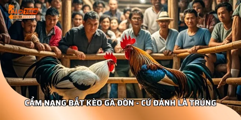 Cẩm nang bắt kèo gà đòn - Cứ đánh là trúng