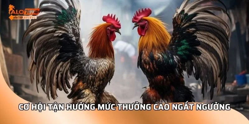 Cơ hội tận hưởng mức thưởng cao ngất ngưởng