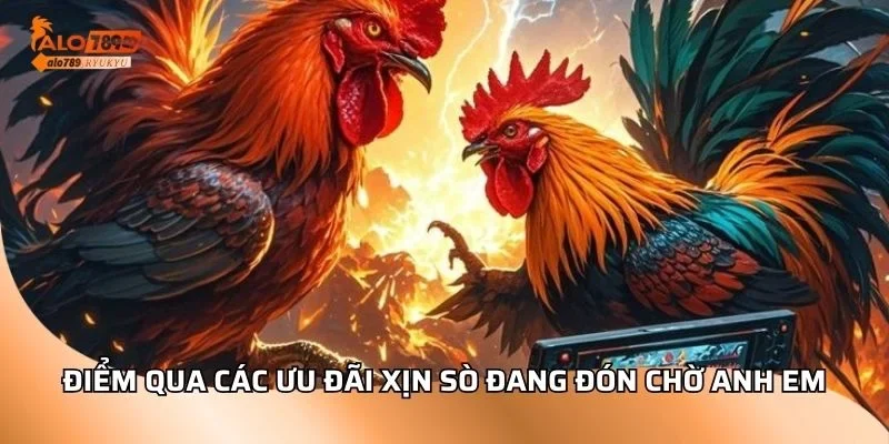 Điểm qua các ưu đãi xịn sò đang đón chờ anh em