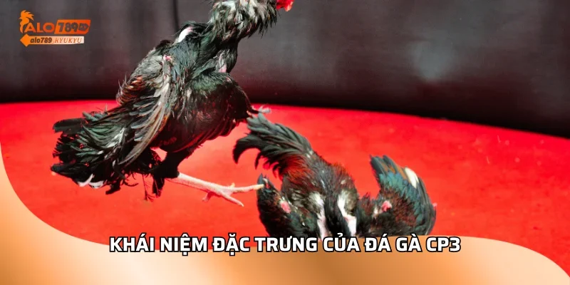 Khái niệm đặc trưng của đá gà cp3