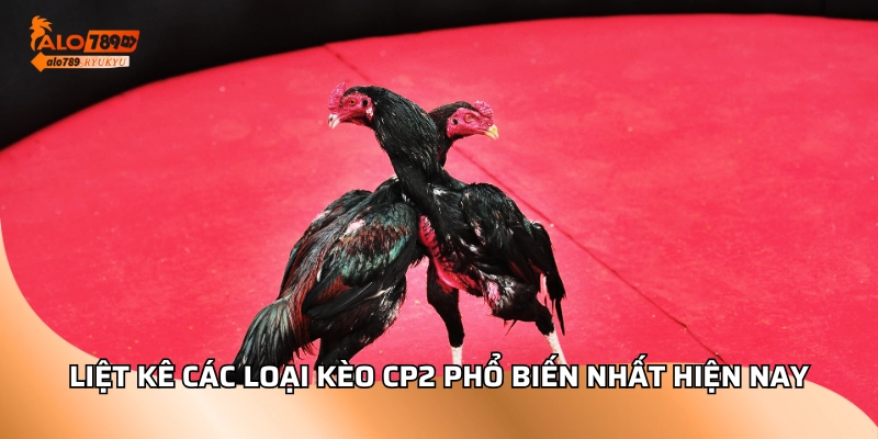Liệt kê các loại kèo cp2 phổ biến nhất hiện nay