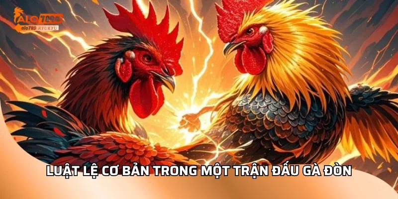 Luật lệ cơ bản trong một trận đấu gà đòn
