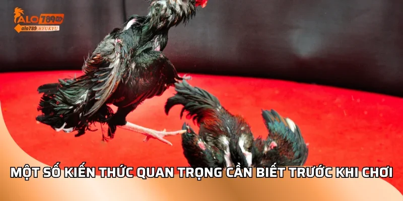 Một số kiến thức quan trọng cần biết trước khi chơi