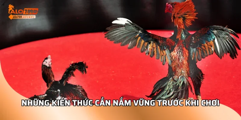 Những kiến thức cần nắm vững trước khi chơi