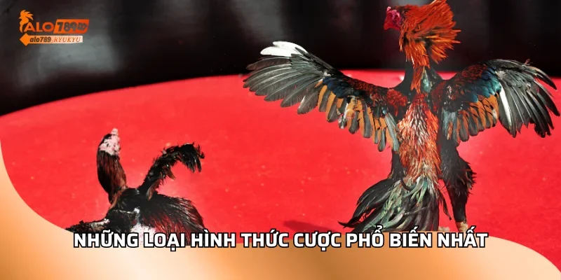 Những loại hình thức cược phổ biến nhất