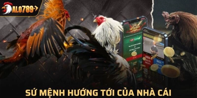 Những Thành Tựu Nổi Bật Từ Alo789